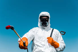 Best Bed Bug Extermination  in Minorca, LA